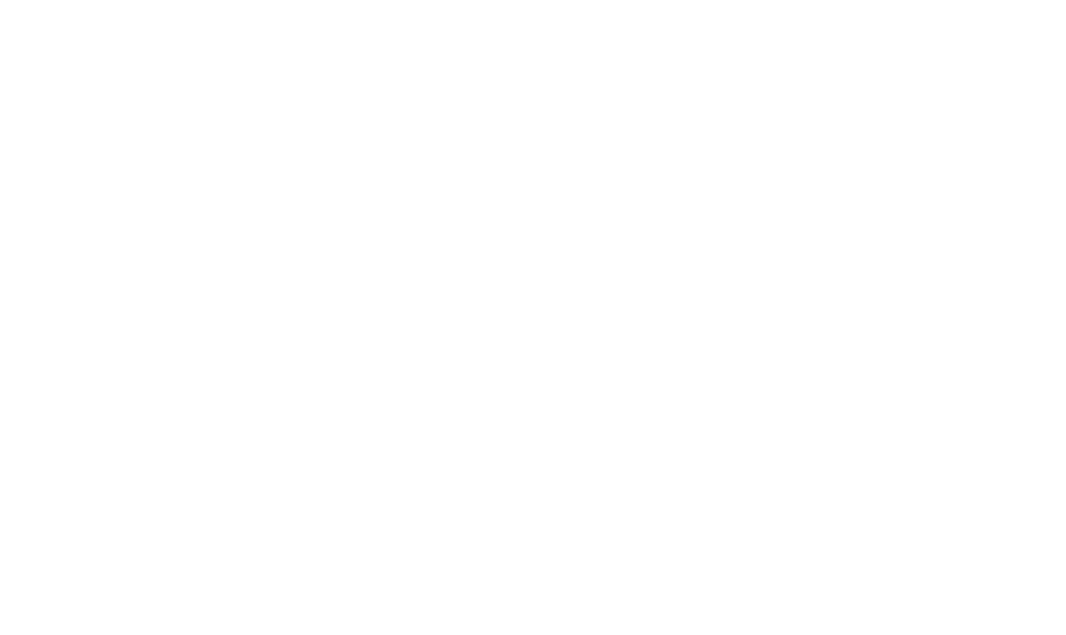 The Reno Academy logo